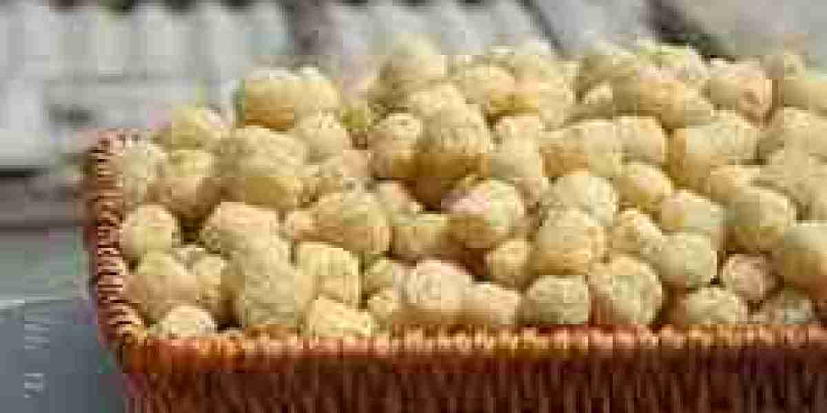 Textured Soy Protein Market Growth Trends Analysis and Dynamic Demand, Forecast 2024 to 2032