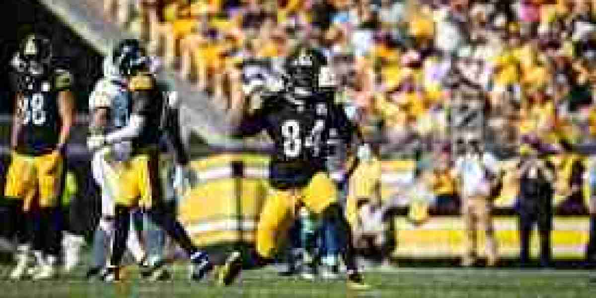 Steelers Fight Reporter Deals Grim Outlook for Beginner WR Roman Wilson