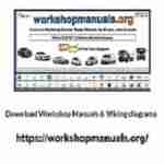 Workshop Manuals