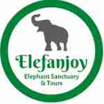 Elefanjoy elefan