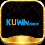 co kuwin.com.