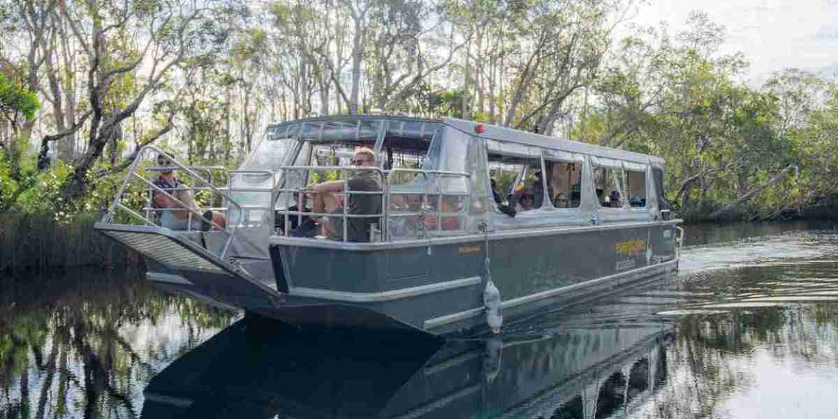 Exploring the Noosa River: A Cruise Through Nature's Wonderland