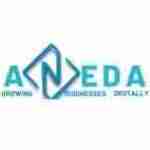 Aneda Digital Marketing