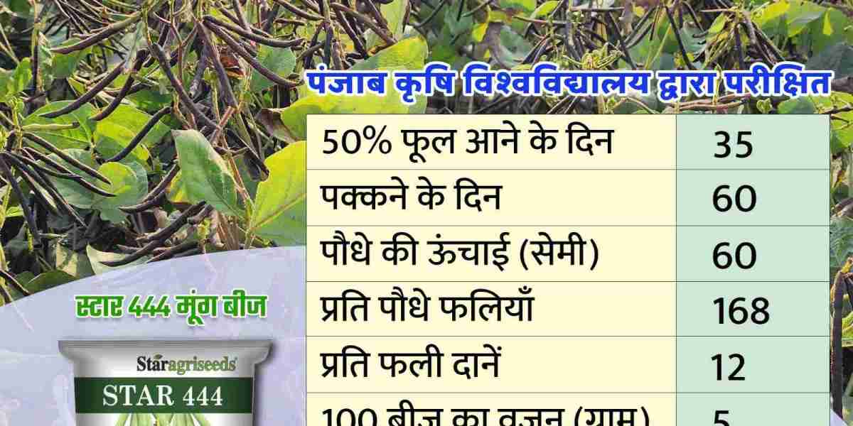 Moong Dal Seeds: High-Quality Green Gram Seeds for Agriculture and Farming