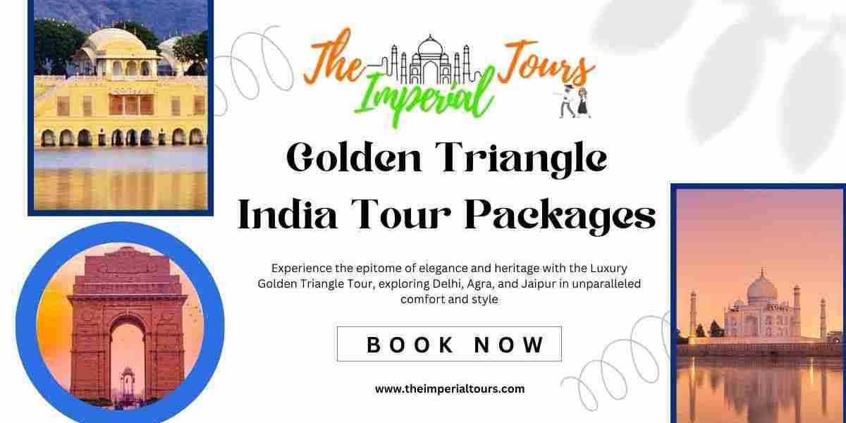 Explore the Magic of India: Why Golden Triangle Tour Packages Are a Must-Try