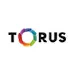 Torus Cold Press Juicers