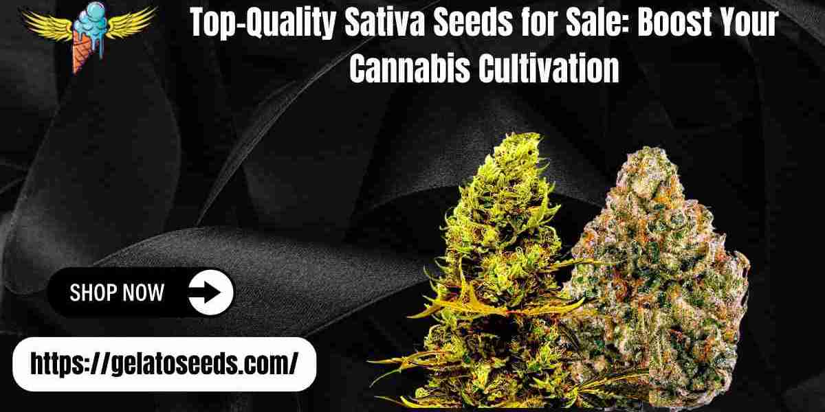 Top-Quality Sativa Seeds for Sale: Boost Your Cannabis Cultivation