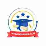 Làm bằng đại học