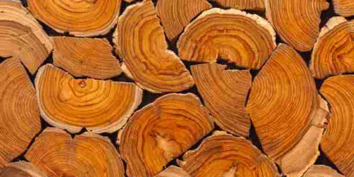 Teakwood Market: Trends, Opportunities, and Future Growth