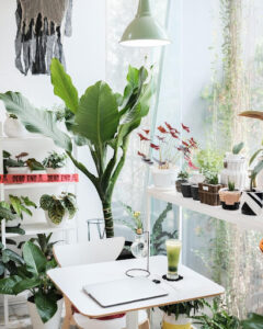 The Ultimate Guide: How to Decorate Your Home with Artificial Plants