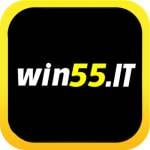 win55 it