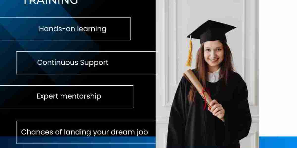 Salesforce Education: Should You Choose Training Courses or Certification Programs?