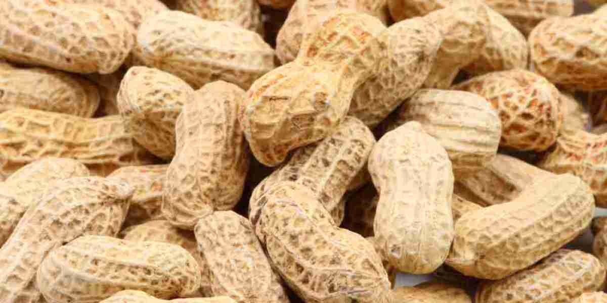 What Are Groundnut Prices Internationally and India’s Role in Production?