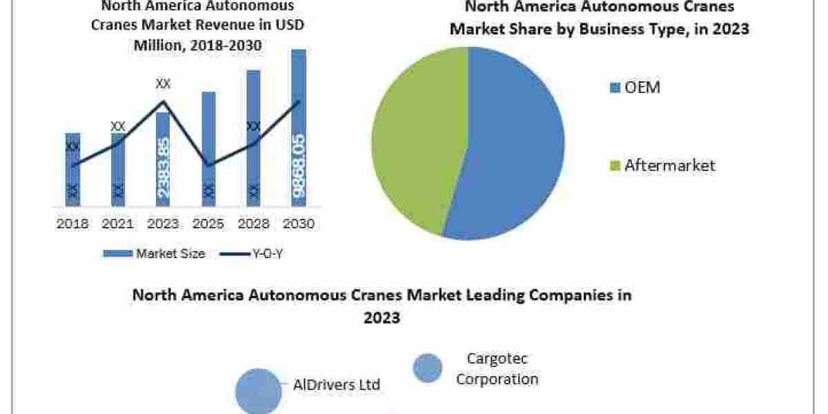 North America Autonomous Cranes Market Revenue, Growth, Developments, Size, Share and Forecast  2030