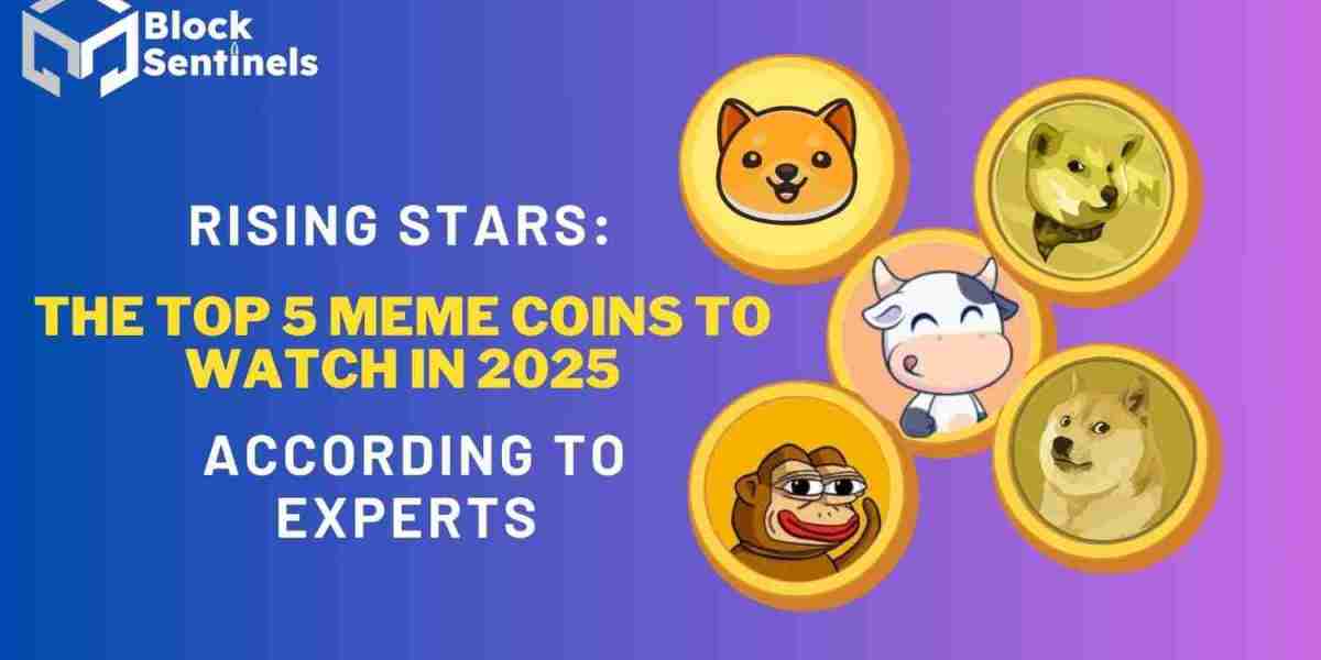 Rising Stars: The Top 5 Meme Coins to Watch in 2025, According to Experts