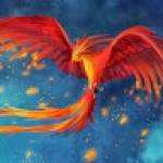 Draco Phoenix