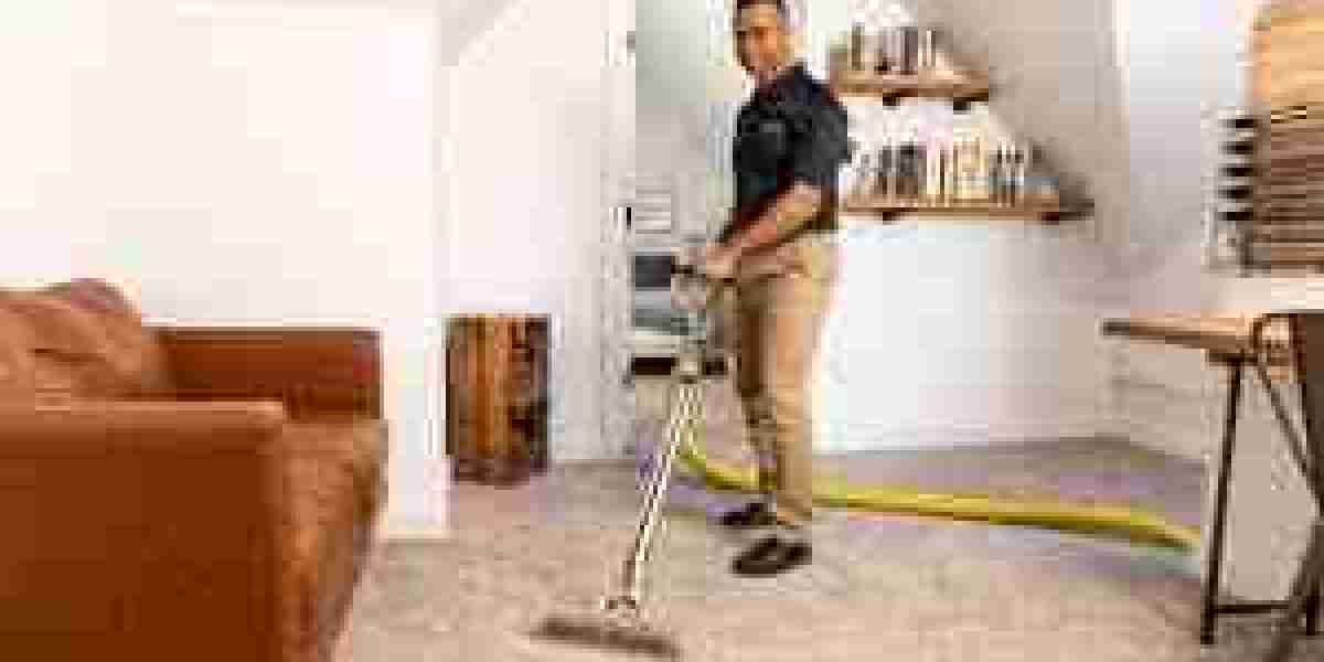 Refresh Your Home with the Best Fort Collins Carpet Cleaning Services