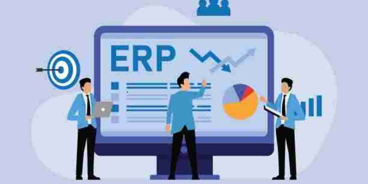 ERP Software Development Company in India