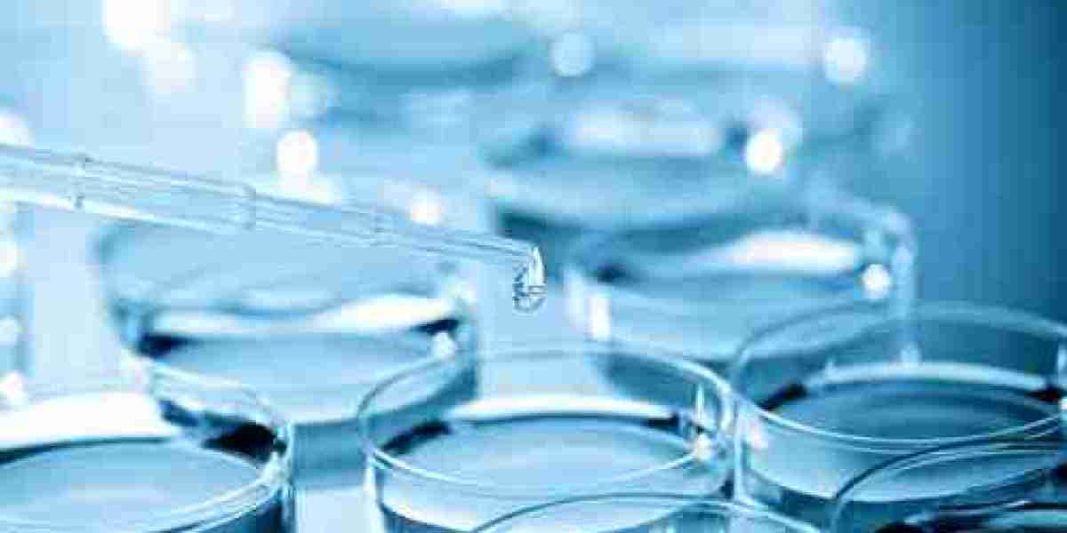 Biocides Market Size, Key Players Analysis And Forecast To 2032 | Value Market Research