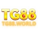 TG 88