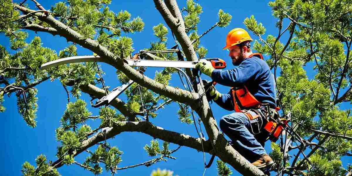 Tree Trimming: Why It Matters and How to Do It Right