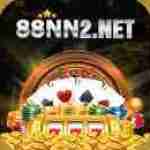 88nn2 net