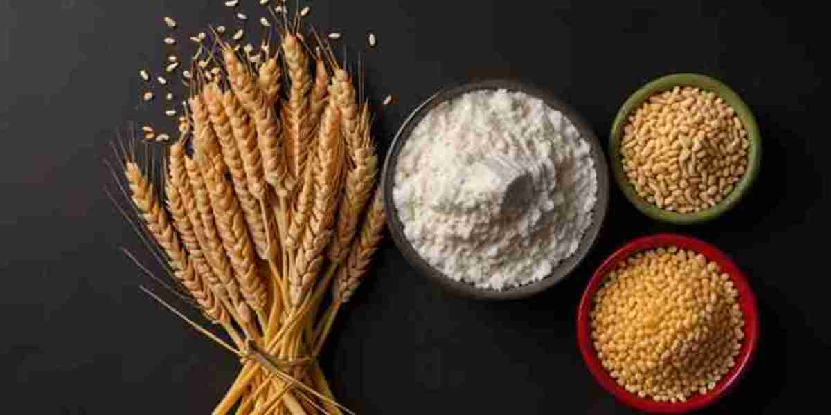 Rising Costs & Demand Push Wheat Starch Prices | IMARC Group