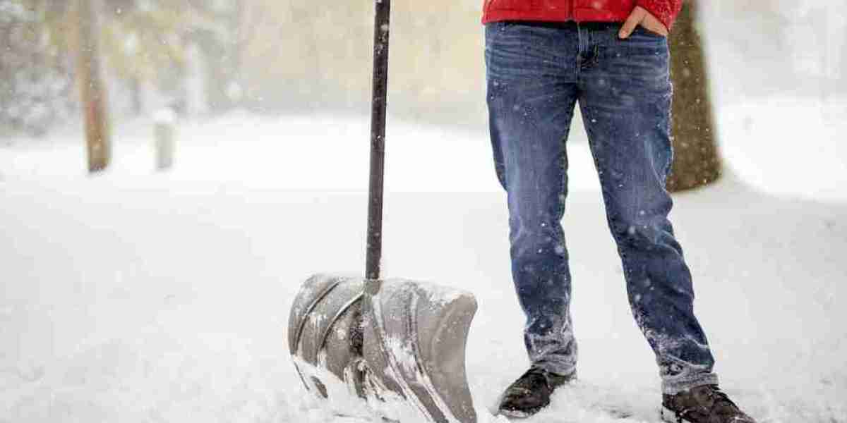 Local Snow Removal Services Near Me in Michigan