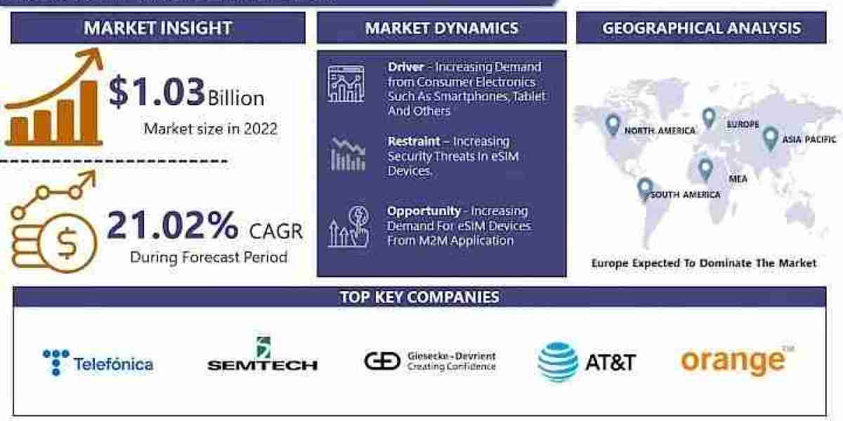 Comprehensive Analysis of eSIM: Market Size, Share, and Trends 2024–2030