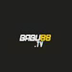 Babu88 bookmaker home page