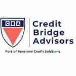 Credit Bridge Advisors Cibil Repair Agency