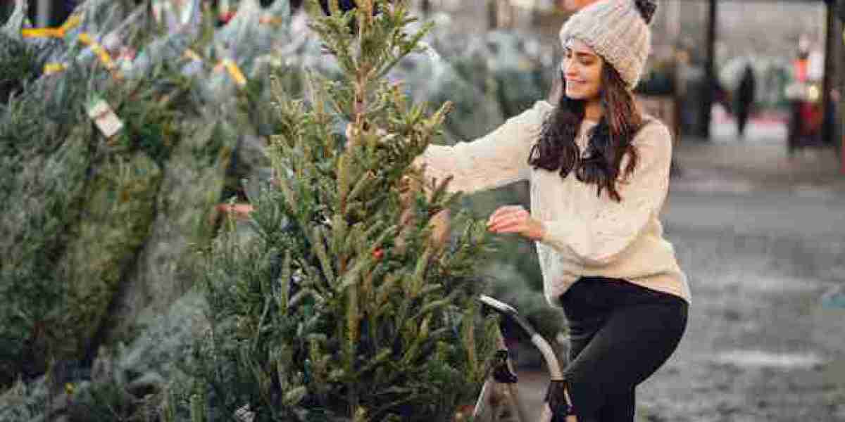 Why Real Christmas Trees for Sale Are Worth the Investment