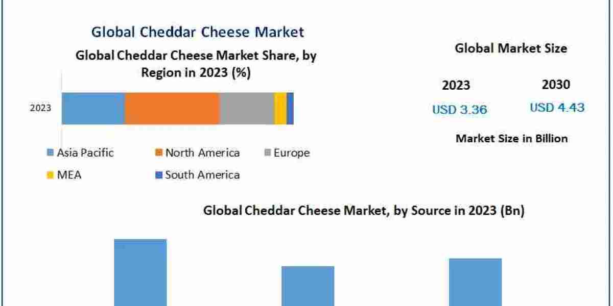 Cheddar Cheese Market 2024-2030: Exploring Market Dynamics and Trends