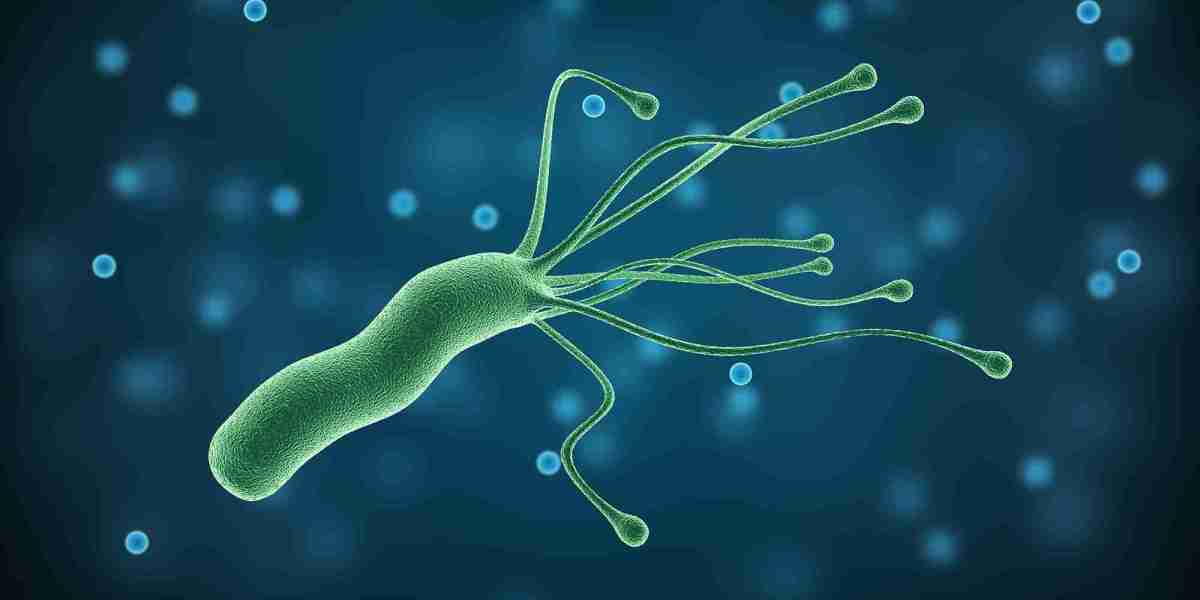 Helicobacter Pylori Market Size, Growth, Analysis and Industry Trends 2024-2034