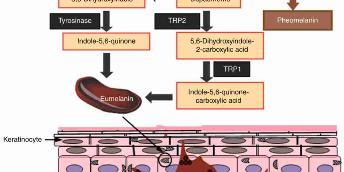 Melanin Inhibition Session: An Overview