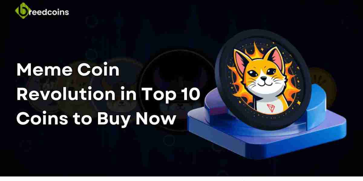 Meme Coin Revolution in Top 10 Coins to Buy Now