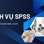 Dich Vu SPSS