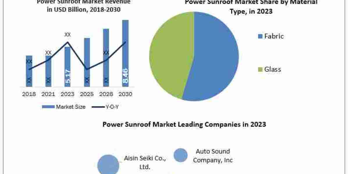 Power Sunroof Market Outlook, Business Strategies, Challenges Forecasts To 2024-2030