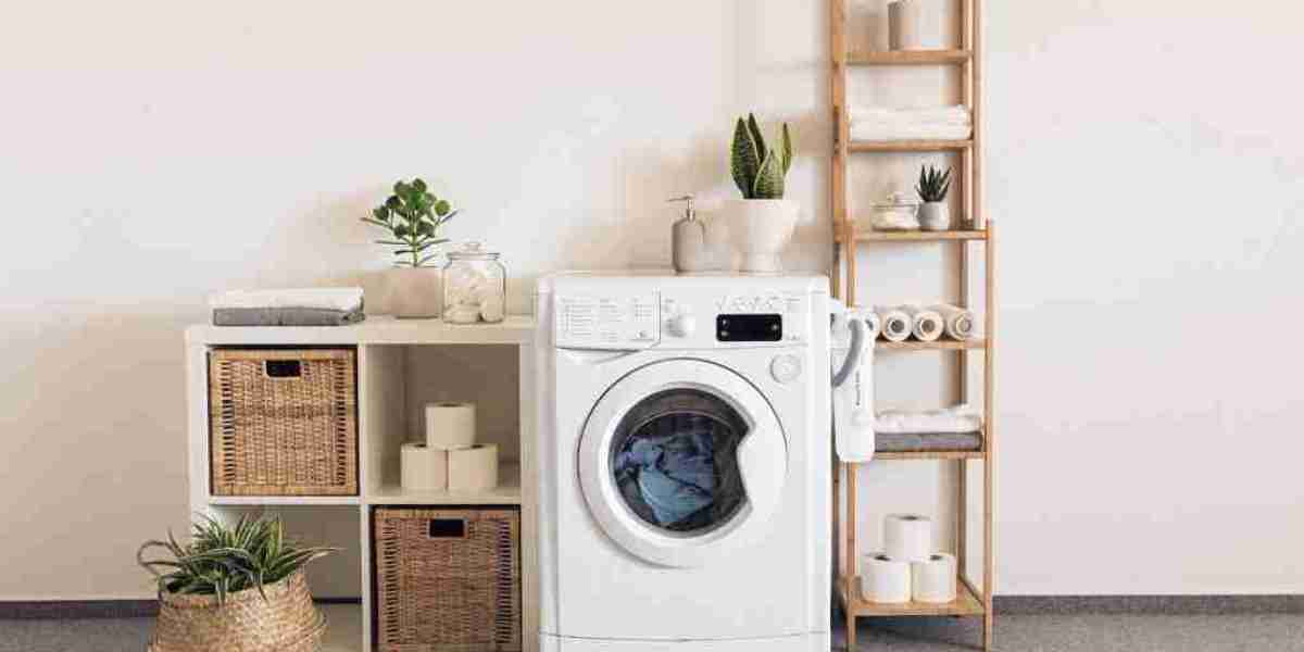 Exploring the Home Laundry Appliances Market and Top Eco-Friendly Technologies