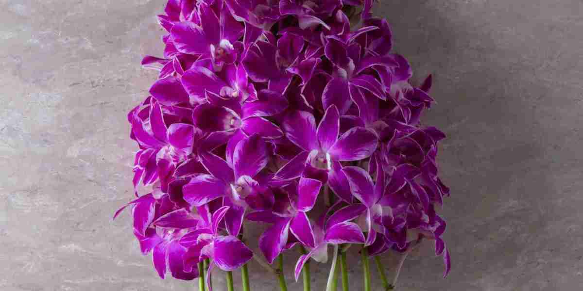 How to Choose the Perfect Orchid When Shopping Online