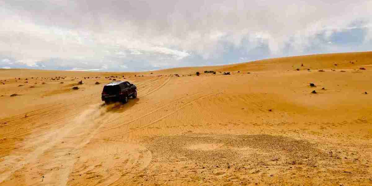 Liwa Desert Safari Abu Dhabi