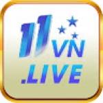 11vn live