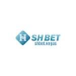 shbet repair