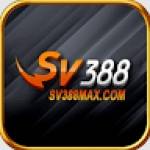 SV388max com