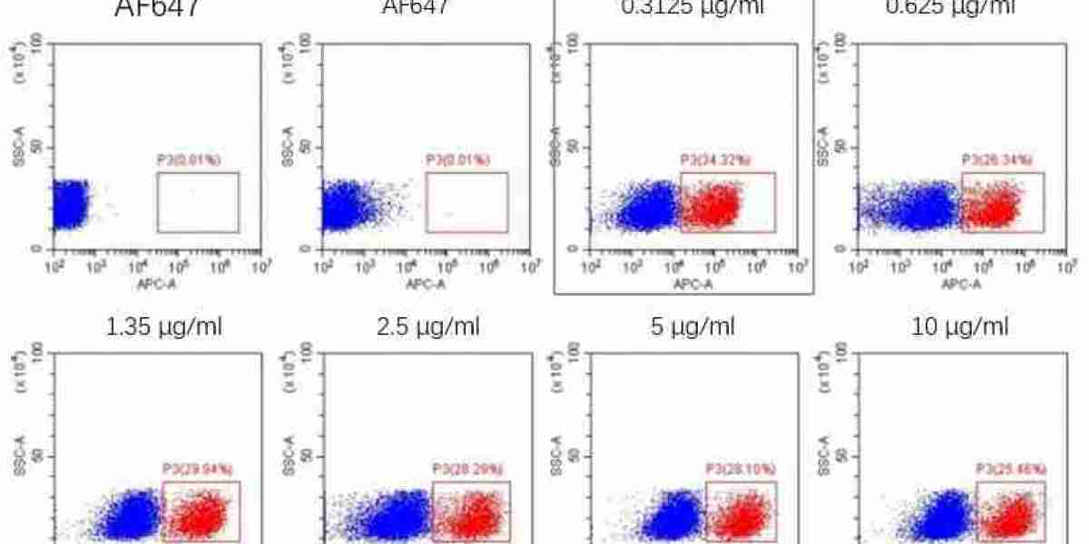 Creative Diagnostics Announces Anti-Chimeric Antigen Receptor Linker Antibodies for Streamlined CAR Detection