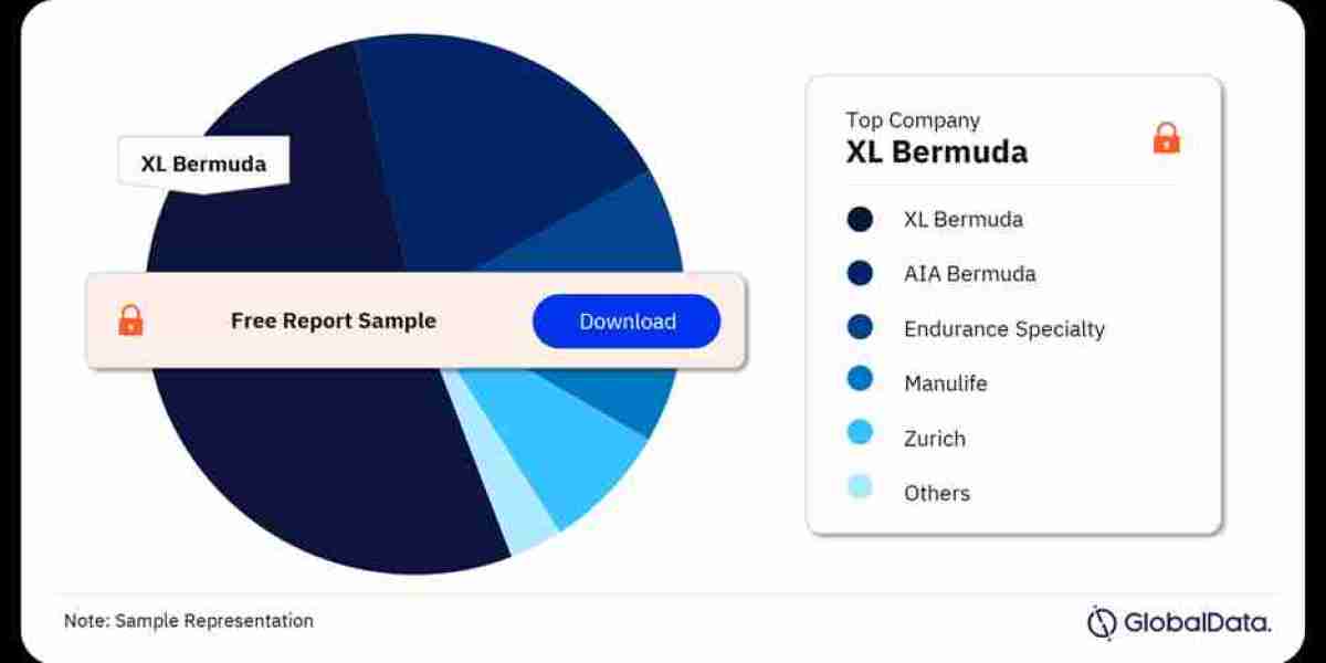 Bermuda Insurance Market: Key Trends, Opportunities, and Insights