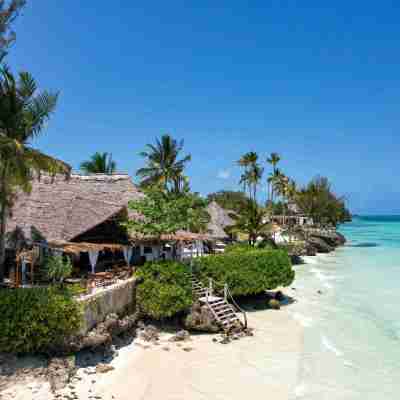 4-Days Zanzibar Beach Holidays of Relaxation and Adventure Profile Picture