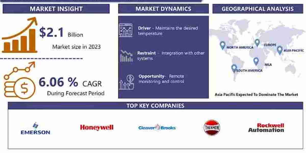 Boiler Control Market: Current Situation Analysis by Market Share, 2024-2032