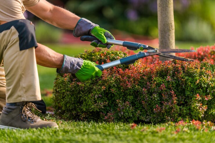 8 Benefits of Regular Landscape Maintenance -