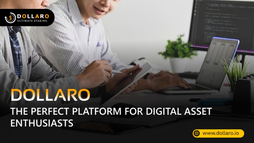 Trusted Owl - What Makes Dollaro the Perfect Platform for Digital Asset Enthusiasts?